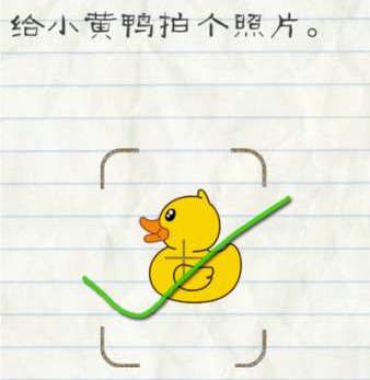 周扬青美男鱼派对